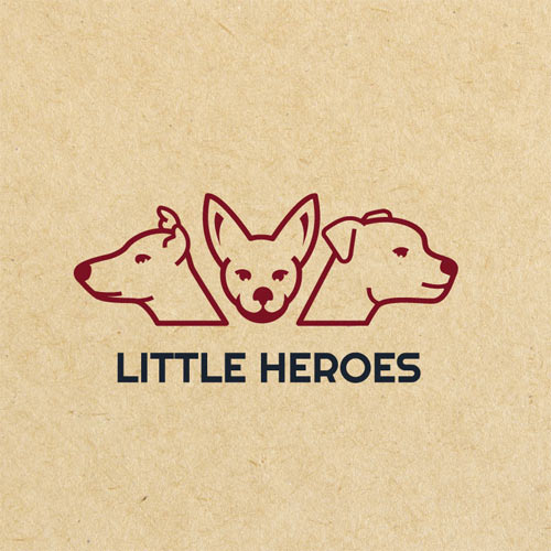 Vypracovanie návrhu loga pre spoločnosť LITTLE HEROES.