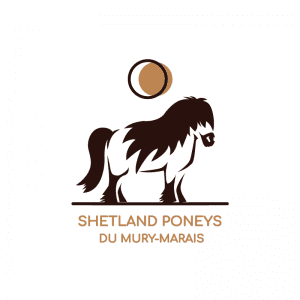 Tvorba loga Shetland poneys.