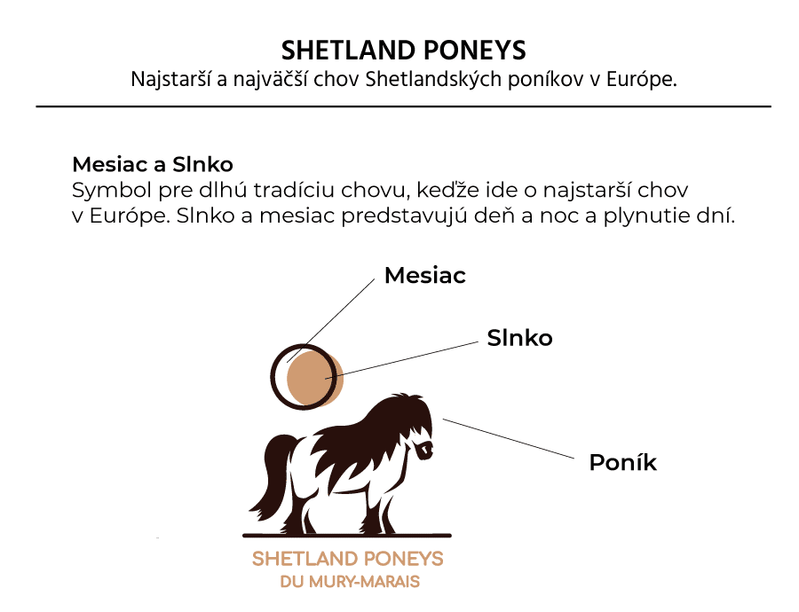Tvorba loga Shetland poneys.