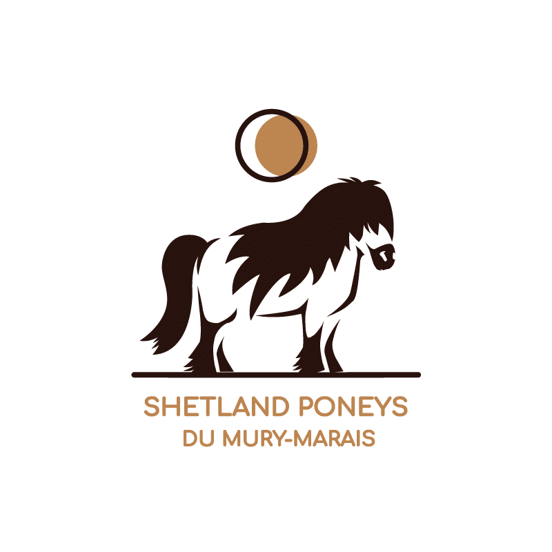 Tvorba loga Shetland Poneys