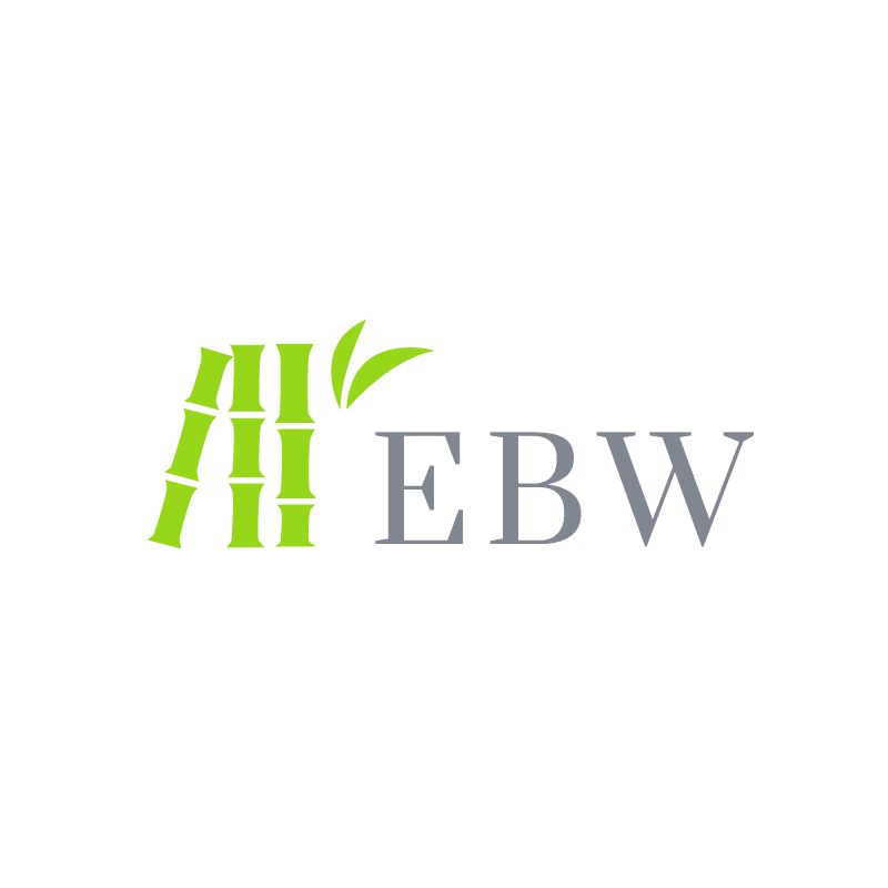 Tvorba loga EBW