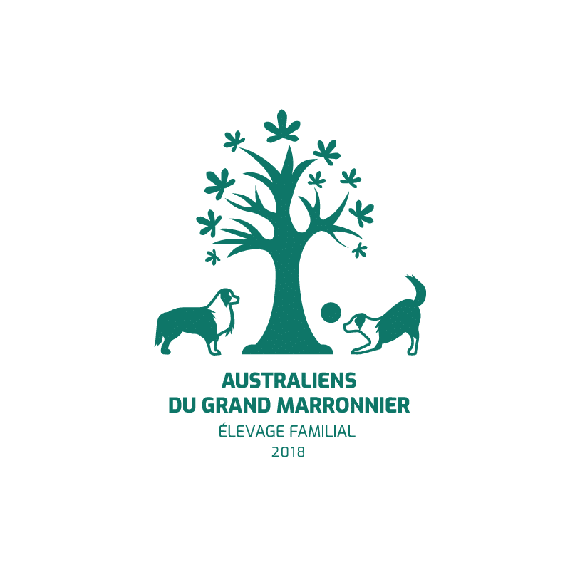 tvorba loga austrálske ovčiaky