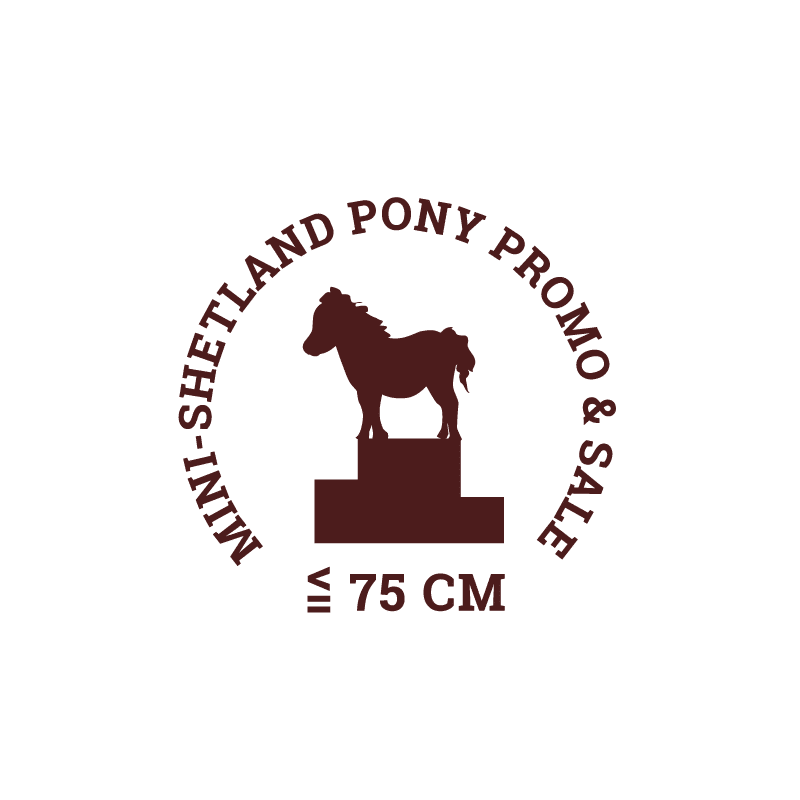 Tvorba loga Mini S. Pony